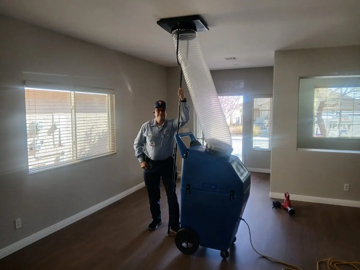 Professional Dryer Vent Cleaning work inside a Hamilton home